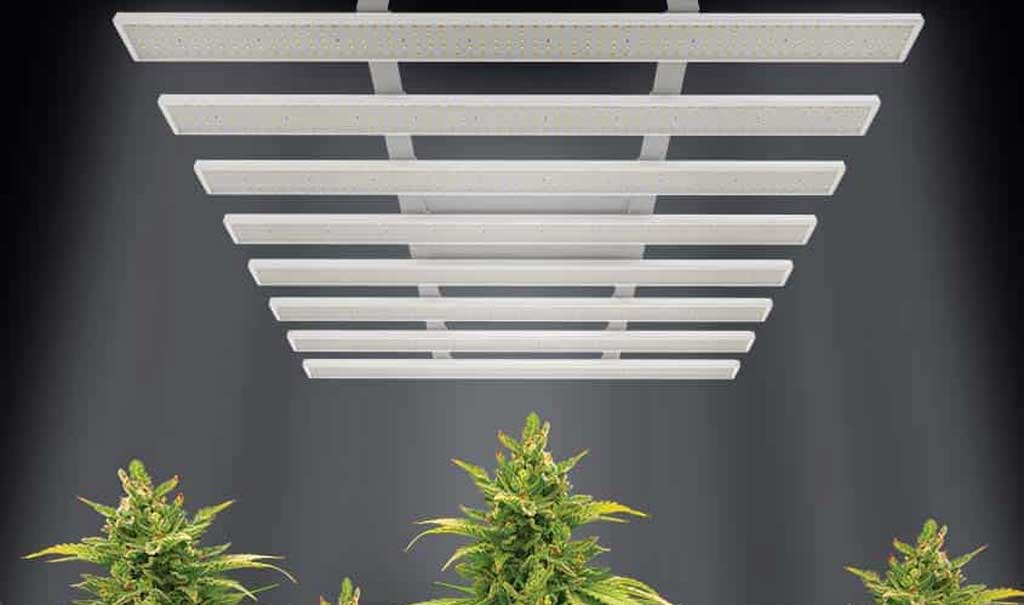 Professional LED grow lights