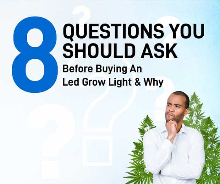 8 Questions you should ask before buying an LED grow light and why whitepaper