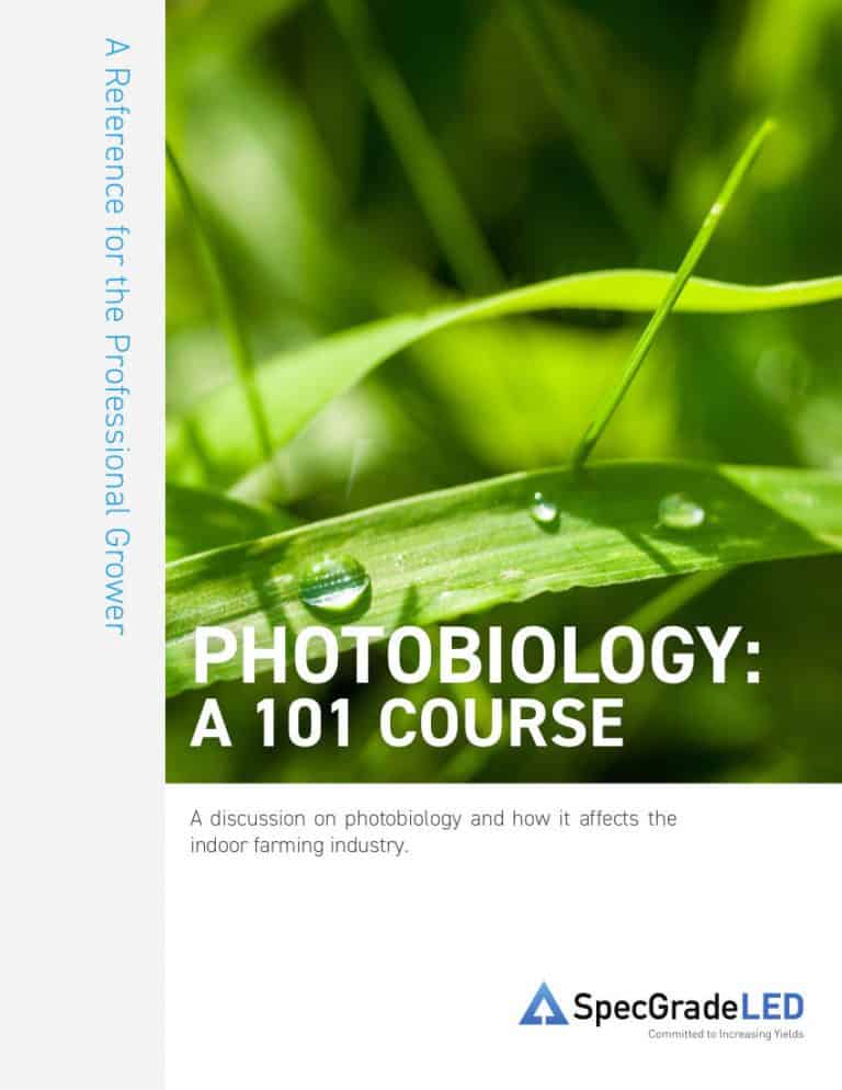 Photobiology 101 Whitepaper Cover