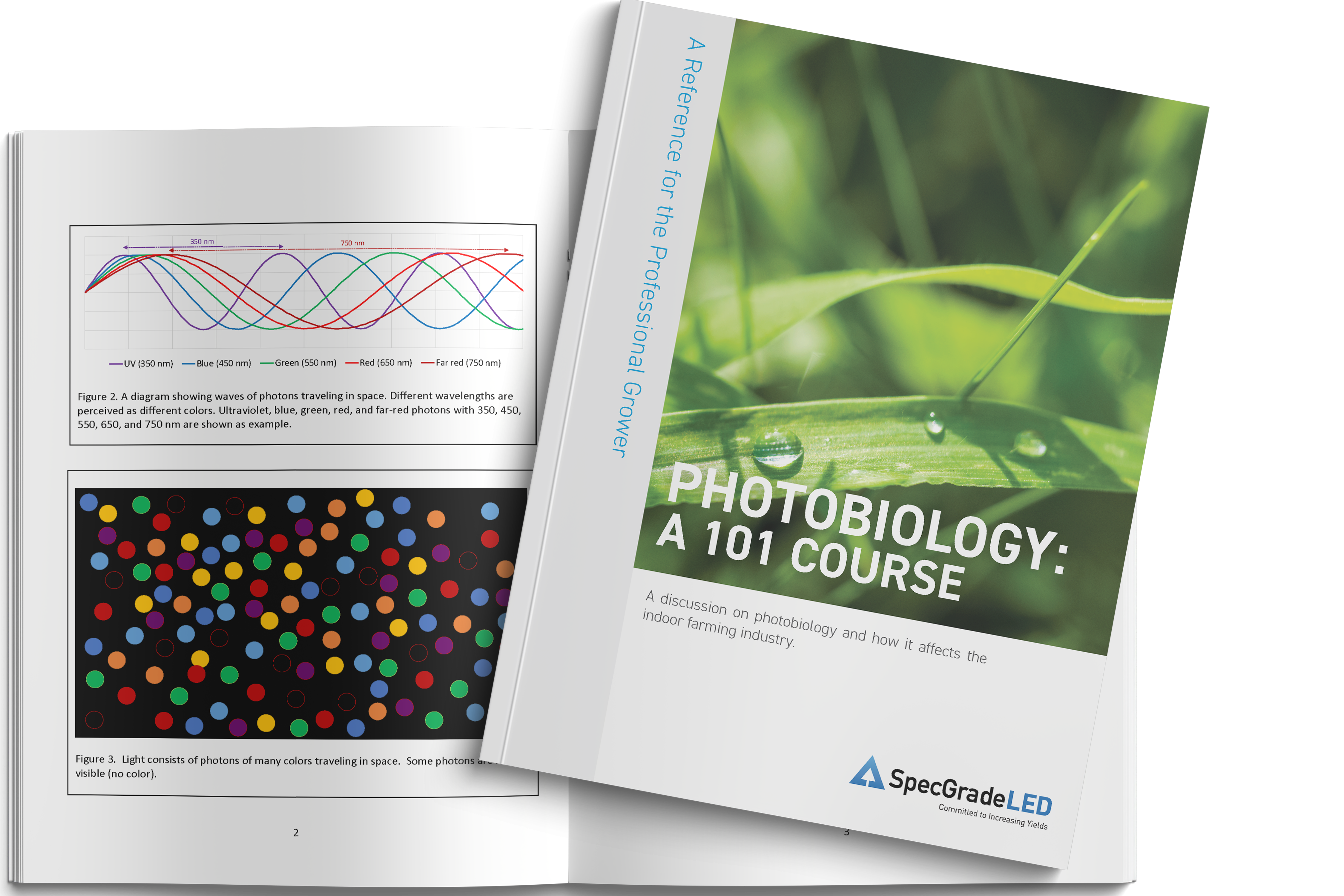 Photobiology 101 cover and inside pages